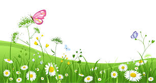 Grass With Butterflies Clipart Picture 0 Molduras Para Criancas Planos De Fundo Marsha E O Urso