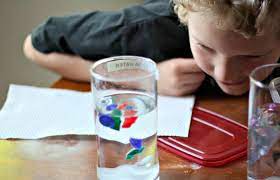 El nivel inicial del instituto nuestra señora del carmen cuenta con jardín de infantes con salas de 3, 4 y 5 años: Experimentos Con Agua Para Ninos Cientificos Sapos Y Princesas