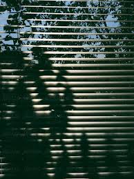 I'm trying to light my kitchen i modeled in maya 2010, but i can't figure out how to make the light go through objects. Abstract Detail Pattern And Texture Of Light And Shadow Shining Through Window Blinds By Greg Schmigel