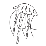 Check spelling or type a new query. How To Draw A Realistic Jellyfish