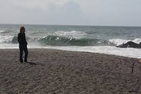 Wright's beach camp is situated on skaha lake at the south entrance to penticton. Wrights Beach Bodega Bay Ca California Beaches