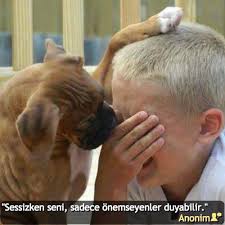 Sessizken Seni Sadece Onemseyenler Duyabilir Anonim Birsozepikse Ozlusozler Gununsozu Siirsokakta Hayvan Kopek Hayvanlar