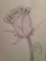 Art therapy giardini in fiore. A Rose Schizzi Di Fiori Disegni Di Rose Disegno Fiori