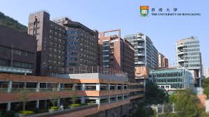 論文爆「AI幻覺」！港大確認引用虛構文章社科院副院長下台| 國際 ...