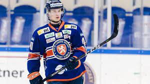 Today i'm going for a 2h drive to watch my fav team and home team växjö lakers play in the semifinals!!!!!. Looking For A Vaxjo Lakers Jersey Blank Or Pettersson Hockeyjerseys