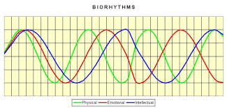 Biorhythms