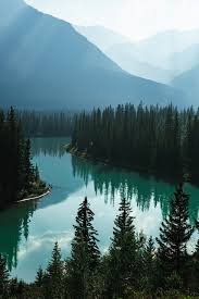 We did not find results for: 10 Beautiful Nature Pictures And Images