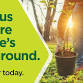 Fall One Million Tree Planting Event event image