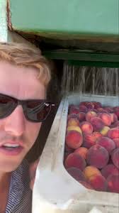 🍑🍑🍑🍑 Today's the day 🍑🍑🍑🍑 50 Lane Road Fort Valley