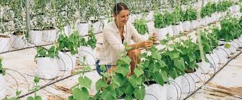 Jul 19, 2021 · get the latest science news and technology news, read tech reviews and more at abc news. Your Guide To Agritech In Australia Hive Life Magazine