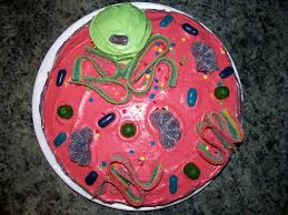 We did not find results for: All Sizes 3d Animal Cell Cake 3 Flickr Photo Sharing