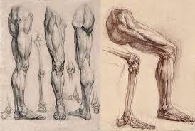 Drawing anatomy for beginners, learning the ins and outs. Knee Anatomy Anatomy Course For Artists