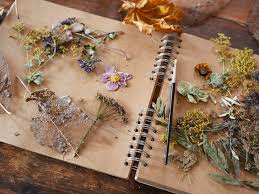 Try using flowers of all one. How To Dry And Press Flowers