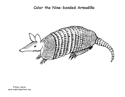 You can download free printable armadillo coloring pages at coloringonly.com. Armadillo Coloring Page
