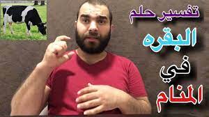 تفسير حلم الذهب لابن سيرين. Ù‡Ù„ ØªØ¹Ù„Ù… Ù…Ø§Ù‡Ùˆ ØªÙØ³ÙŠØ± Ø­Ù„Ù… Ø§Ù„Ø¨Ù‚Ø±Ù‡ ÙÙŠ Ø§Ù„Ù…Ù†Ø§Ù… ÙˆØ¹Ù„Ø§Ù‚ØªÙ‡ Ø¨Ø­ÙŠØ§ØªÙƒ Ø§Ù„Ø£Ø³Ø±ÙŠÙ‡ ÙˆØªØ¬Ø§Ø±ØªÙƒ Youtube