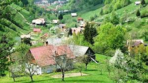 Ce afaceri au succes la tara? Ce Afaceri Pot Avea Succes La Tara Dariaiubireamea Ro