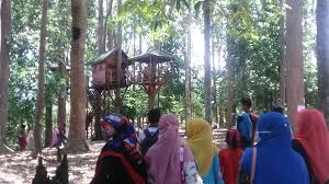 Kali ini tempatwisataseru.com akan mengajak anak ke tempat wisata batu malang yang menarik dan tidak boleh kita lewatkan. Edisi Pergi Ke Hutan Lindung Kota Langsa Esteem