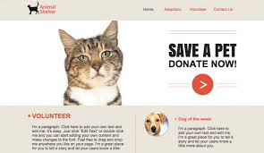 You could meet your new best friend at one of our pet adoption centers! Animal Shelter Website Template Wix