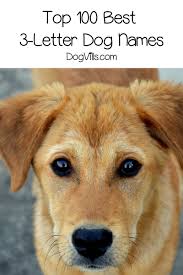Female names beginning with brun. Top 100 Best 3 Letter Dog Names Dogvills