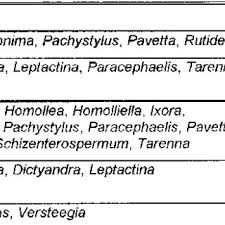 Image result for Ixora mildbraedii