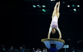Мике́йла ски́ннер (также микаэла скиннер, англ. Three Gymnasts With Ties To The Utes Finish In Top 10 At The U S Classic