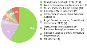 Image result for Scleria globonux