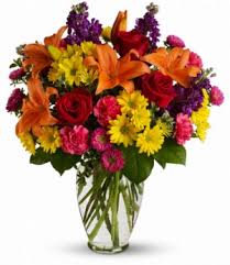 Check spelling or type a new query. Cherokee Florist Cherokee Ia Flower Shop Blooming House