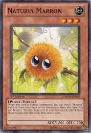 Naturia monsters are composed of various types, but all of them are related to forest life (much like sylvan, albeit different), such as plants, insects, rocks, a few beasts, and even a dragon. Naturia Marron Yugipedia Yu Gi Oh Wiki