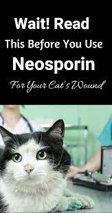 Pin On Cat Health