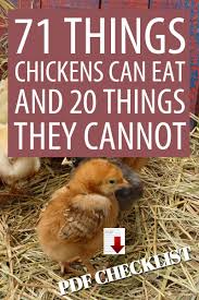 Don't feed your chickens this: 72 Things Chickens Can Eat And 20 Things They Cannot Pdf Checklist New Life On A Homestead