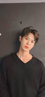  330 My Ult His Best Frens Ideas In 2021 Nct Nct Doyoung Nct 127