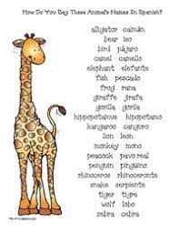 Let S Go To The Zoo Zoo Animals Names Zoo Activities Zoo Animal Activities