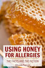Using Honey For Allergies Breaking Down The Evidence Honey For Allergies Local Honey For Allergies Natural Remedies For Allergies