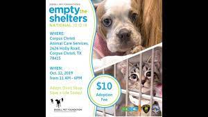 See reviews, photos, directions, phone numbers and more for adopt a pet locations in portland, tx. Free Microchipping And Low Cost Pet Adoptions Available Kiiitv Com