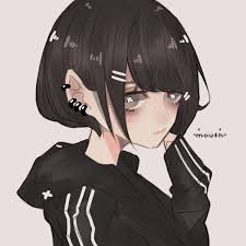 The duo is extremely secretive, never publicly revealing their faces or holding many concerts. ã ã‹ã‚‰åƒ•ã¯éŸ³æ¥½ã‚'è¾žã‚ãŸ ãƒ¨ãƒ«ã‚·ã‚« By é™½èœ éŸ³æ¥½ã‚³ãƒ©ãƒœã‚¢ãƒ—ãƒª Nana