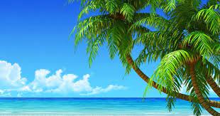 15 ide caption instagram yang oke saat traveling di pemandangan pantai cantik dengan tema pokok kelapa azhan co sumber : 28 Gambar Kartun Pemandangan Pantai 48 Google Images Beach Wallpaper On Wallpapersafari Download Gamba Beach Wallpaper Beautiful Landscape Wallpaper Beach