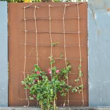 Rankhilfe Rankstab Naturliche Weide Natur Efeu Rosen Kletterpflanzen Sichtschutz Weidezaun Rankhilfe Kletterpflanzen Pflanzen