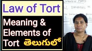 Law Of Torts Meaning And Elements Of Tort In Telugu Advocate Sowjanya Hyderabad Youtube