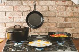 Top 10 Best Lodge Cast Iron Dutch Ovens Reviews In 2019 Cast Iron Cookware Set Cast Iron Cooking Cast Iron Dutch Oven
