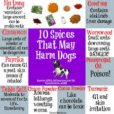 Labrador Puppy Growth Online Charts Collection