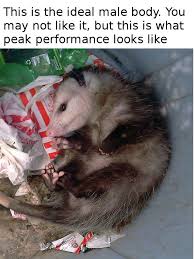 He Scream At He Own Ass Album On Imgur