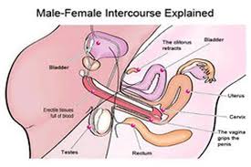 زن در رابطه جنسی چگونه بخوابد تا بچه دار و حامله شود؟