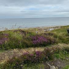 A Scenic Scottish Trip And Visiting Gordon Castle (Big Update Next Week!) —  Ask Charlie