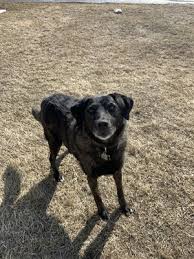 When did fish creek 24 hour pet hospital open? Mcknight 24 Hour Veterinary Hospital 29 Reviews Veterinarians 34 5010 4th Street Ne Calgary Ab Phone Number