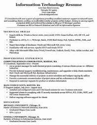 Information Technology Director Resume Unique Information Technology It Resume Sample Project Manager Resume Job Resume Samples Resume