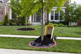 It not only upgrades the aesthetics, but can provide increased security, add value, and save on energy. Lawn Care Carmel Indiana Landscaping Lawn Mowing Service