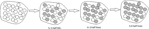 Radioactive dating is also used to study the effects of pollution on an environment. 2