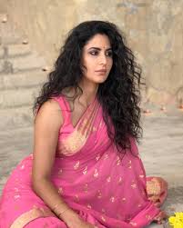 Katrina Kaif Prove That She is the SAREE Queen of Bollywood | Buy Sarees  Online | Sarees | Georgette Sarees – Lady India