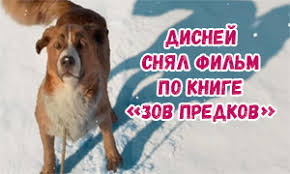 Zov Predkov Disnej Snyal Film Po Motivam Legendarnoj Povesti Dzheka Londona I U Nas Est Pervyj Trejler Youloveit Ru