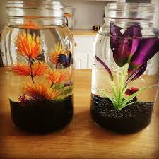 Beta Fish Bowl Ideas Gal Size Mason Jars Fish Tank Diy Fish Tank Beta Fish Tank